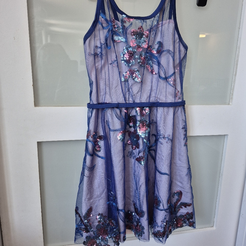 Curtain Call Child Size XL Dance Dress